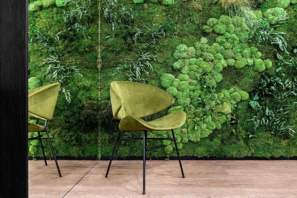 Naturalna strona biur. Think Biophilic Naturalna strona biur. Think Biophilic